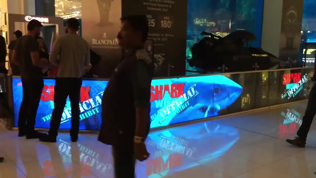 LED digital barrier at Dubai Aquarium, a DigiComm UAE installation