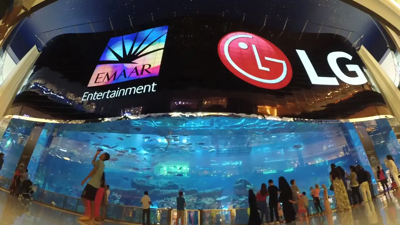 Dubai Mall Aquarium OLED wall